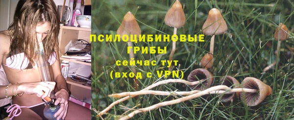 гашик Пестово