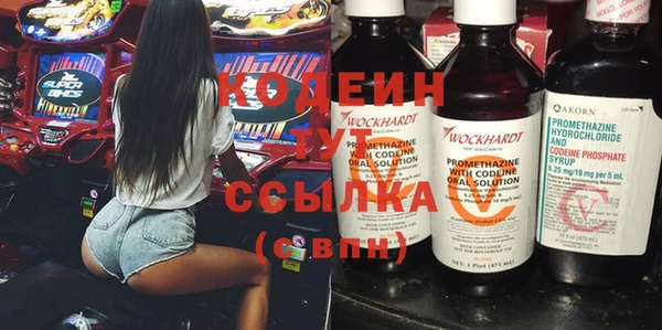 гашик Пестово